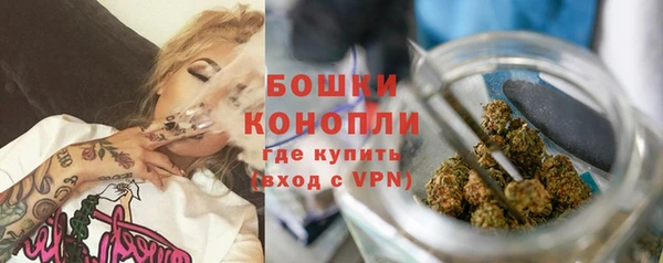 ешки Аркадак