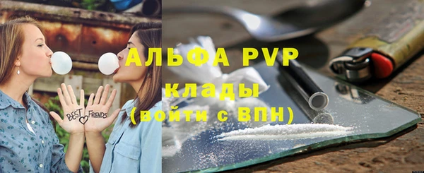 ешки Аркадак