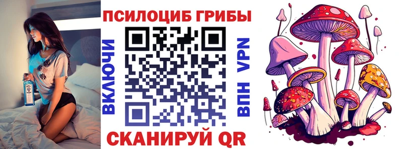 Галлюциногенные грибы Psilocybe  Сосновка 